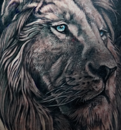 SarArt 2025 - Todos los derechos reservados.